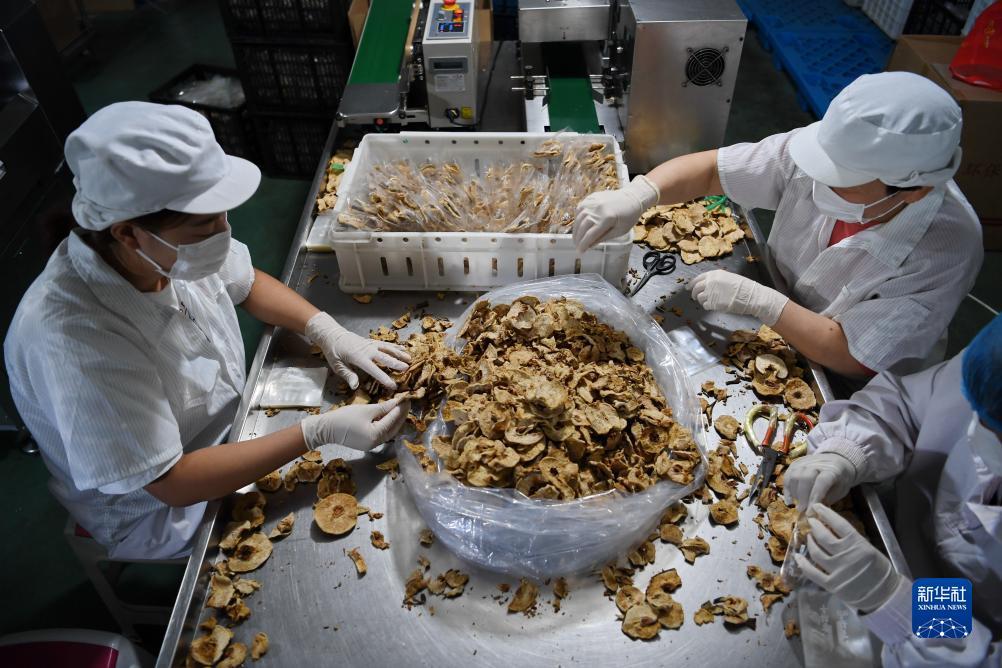 抢庄斗牛正版下载